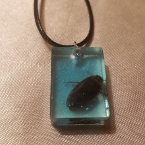 Rectangular Water Beetle Black Cord Necklace
