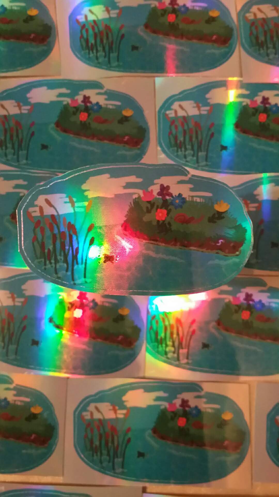 Frog Pond Holographic Stickers