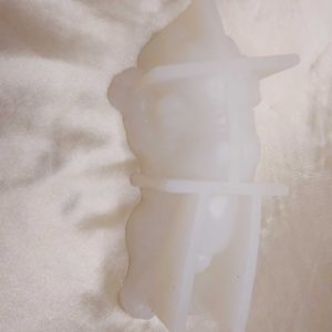 MOLDS